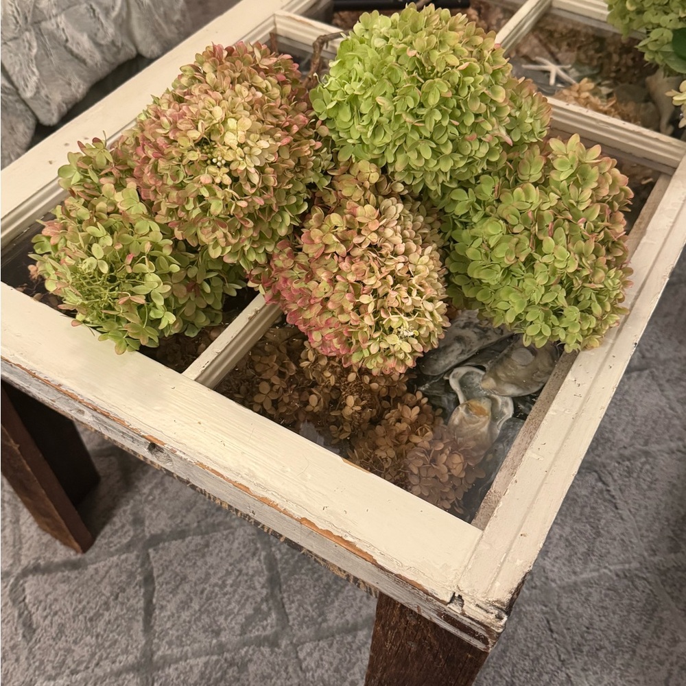 Dried long-stem green/pink hydrangeas. (5)
